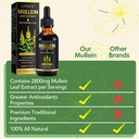 mullein-drops-for-lungs-cleans-and-sours-4.jpg