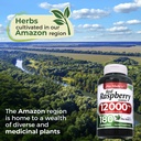 fito-medic-s-lab-red-raspberry-leaf-180--6.jpg