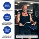 powerlife-high-impact-plant-protein-powd-3.jpg