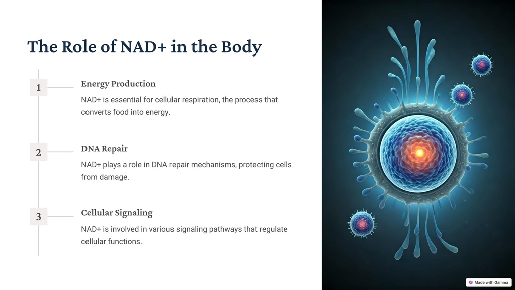 nad-resveratrol-2.jpg