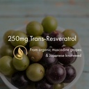 naomi-organic-resveratrol-250-mg-non-gmo-3.jpg