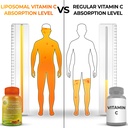 vegan-immune-antioxidant-support-bundle--3.jpg