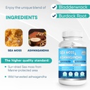 bio-vitalica-biovitalica-sea-moss-ashwag-4.jpg