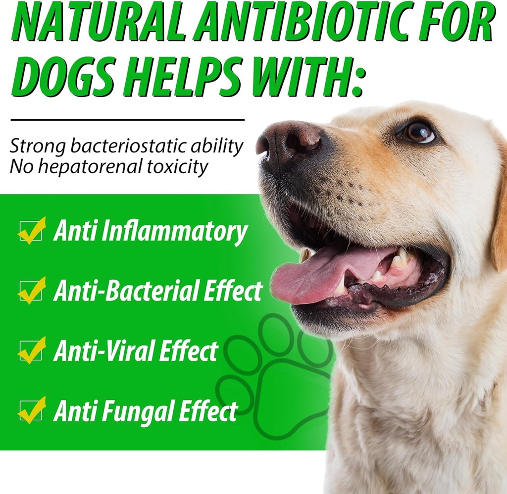 dog-antibiotics-natural-antibiotics-for--2.jpg