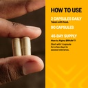 onnit-cognitive-strength-performance-bun-3.jpg