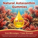 astaxanthin-gummies-24mg-per-serving-ast-5.jpg