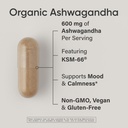 sports-research-sleep-pack-organic-ashwa-4.jpg