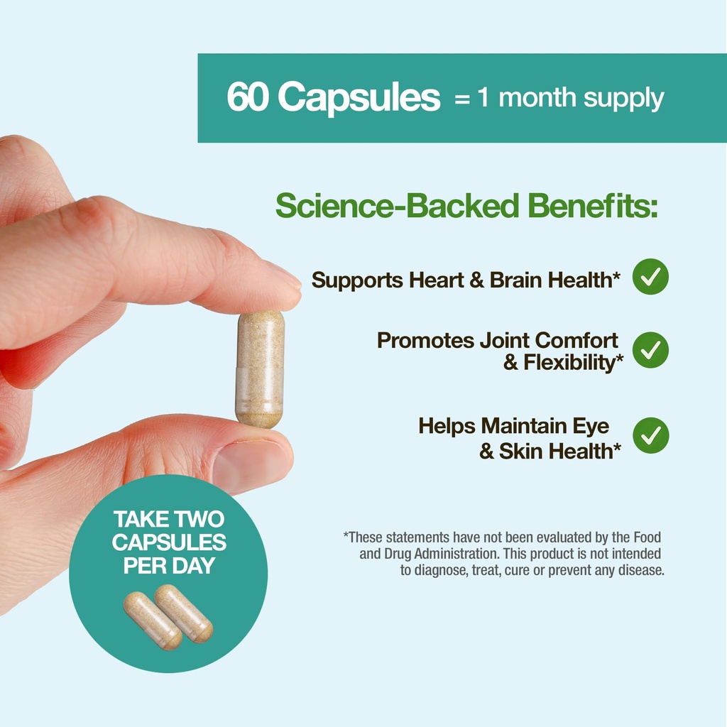 feelgood-company-vegan-omega-3-supplemen-5.jpg