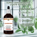 frankincense-boswellia-serrata-dry-resin-6.jpg