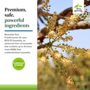 terry-naturally-boswellia-plus-frankince-5.jpg