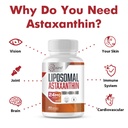 liposomal-astaxanthin-supplement-24mg-ma-4.jpg