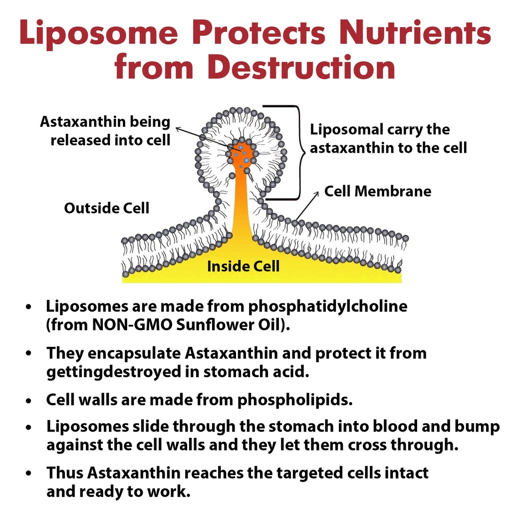 liposomal-astaxanthin-supplement-24mg-ma-5.jpg