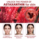 astaxanthin-12mg-2-packs-potent-antioxid-5.jpg
