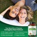 zazzee-astragalus-root-extract-and-beta--5.jpg