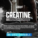 nutrex-research-ultra-pure-creatine-mono-5.jpg