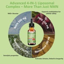 nmn-supplement-liquid-drops-4-in-1-nmn-b-2.jpg