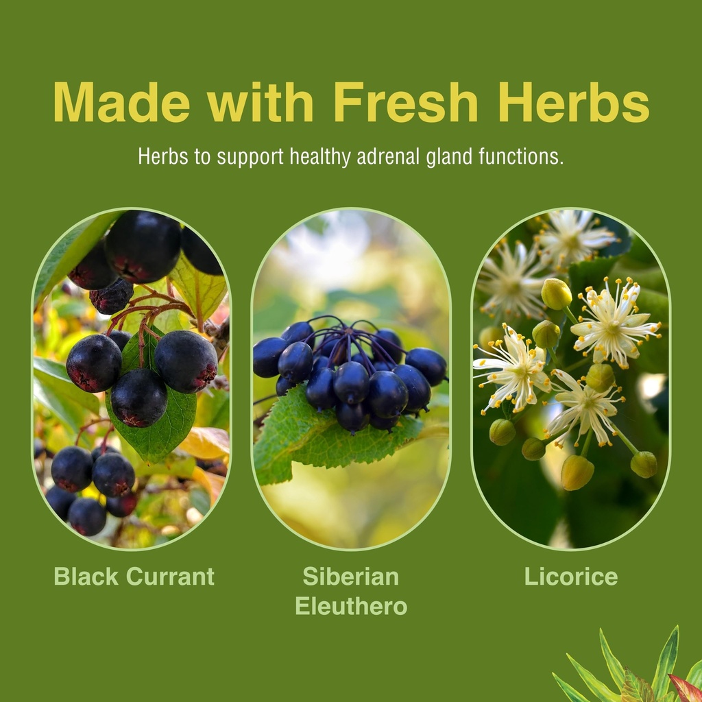 herbs-etc-adrenotonic-herbal-supplement--6.jpg