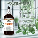 onion-allium-cepa-dry-bulb-glycerite-all-6.jpg