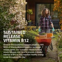 bronson-vitamin-b12-1000-mcg-sustained-r-3.jpg
