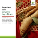 terry-naturally-hrg80-red-ginseng-energy-5.jpg