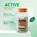 panax-ginseng-ginkgo-biloba-supplement-2-5.jpg