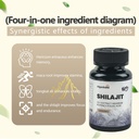 himalayas-shilajit-pro-max-for-men-women-5.jpg