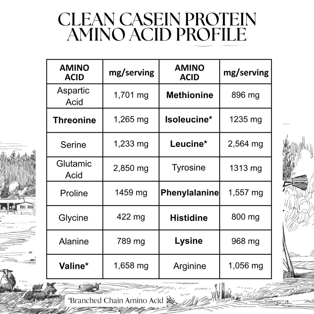 clean-casein-protein-by-mt-capra-easy-to-3.jpg