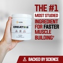 alpha-lion-creatine-monohydrate-powder-5-2.jpg