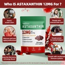 astaxanthin-supplements-12mg-premium-ast-3.jpg