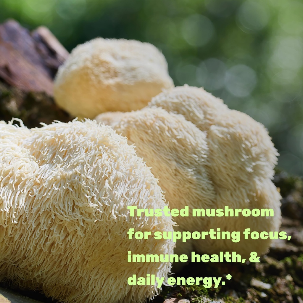 lions-mane-mushroom-supplement-240-capsu-6.jpg