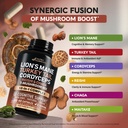 mushroom-supplement-organic-lions-mane-t-6.jpg
