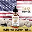 lions-mane-dual-liquid-extract-tincture--4.jpg