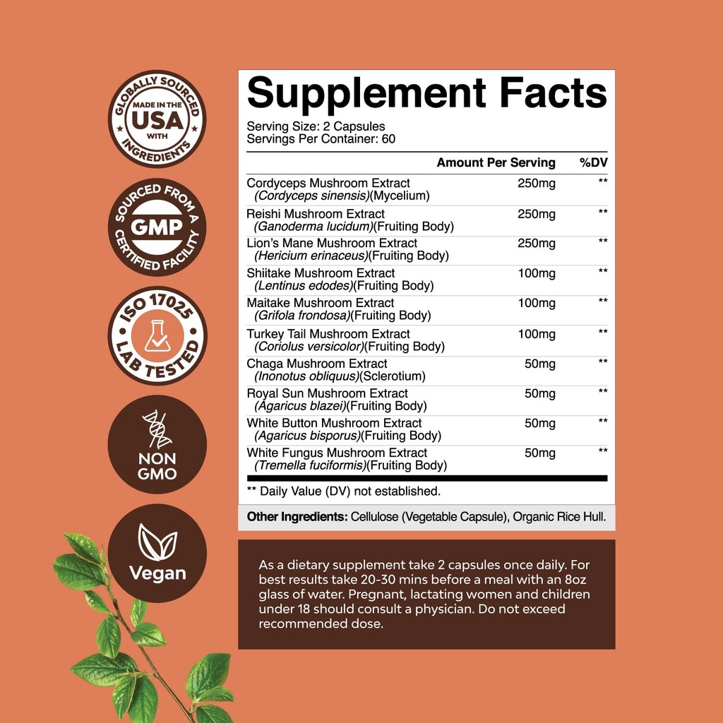 bundle-of-nootropic-brain-supplement-for-3.jpg