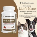 real-mushrooms-lions-mane-for-humans-300-6.jpg