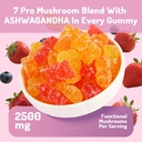 ashwagandha-and-mushroom-gummies-500mg-w-5.jpg