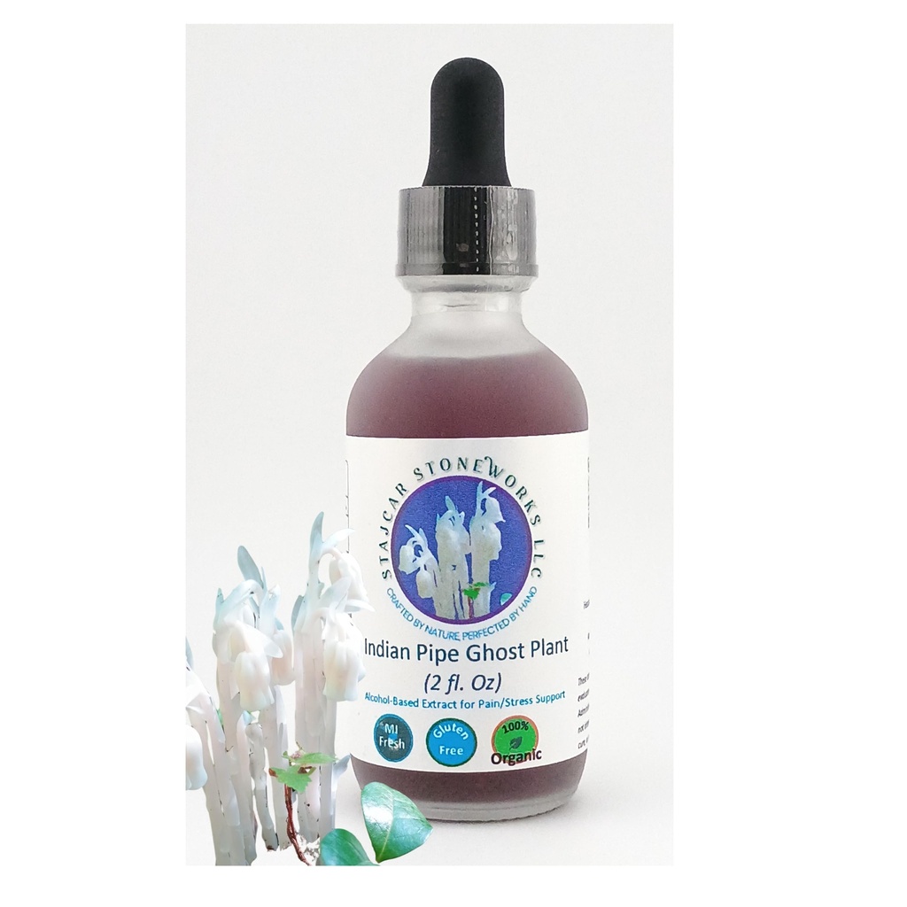 indian-pipe-ghost-plant-based-complete-w-5.jpg