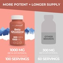 longlifenutri-beta-sitosterol-1000mg-phy-3.jpg