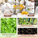 aged-garlic-extract-9000mg-odorless-hear-4.jpg