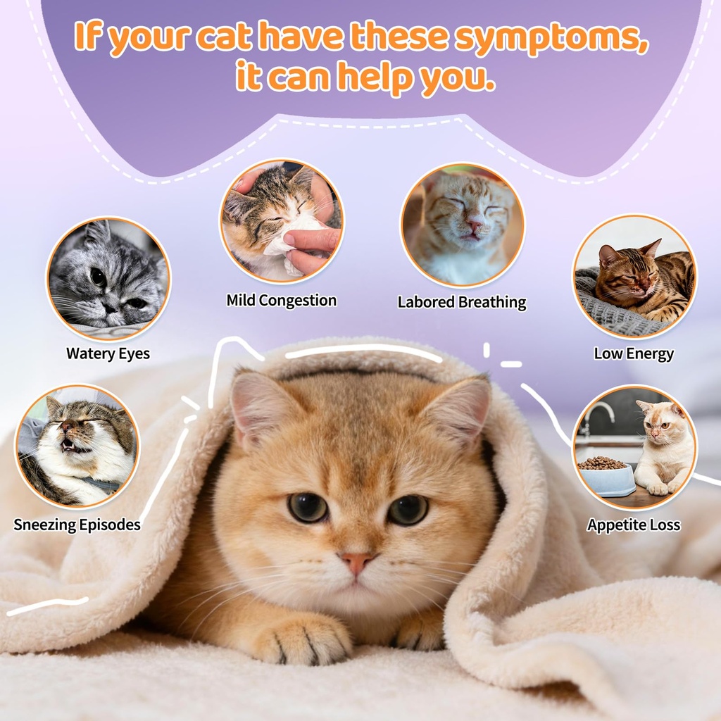 cat-allergy-relief-lysine-treats-bundle--6.jpg
