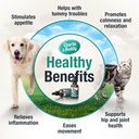 charlie-buddy-hemp-il-for-dogs-cats-help-2.jpg