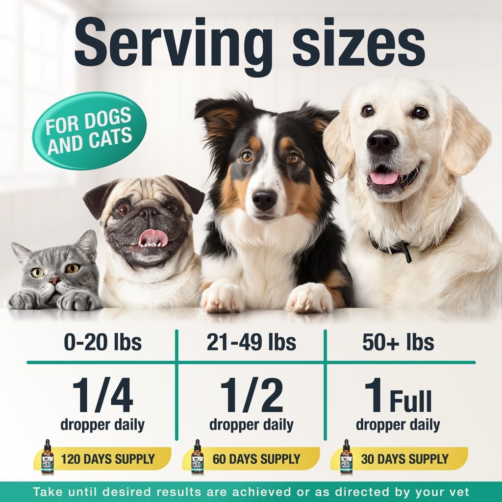 charlie-buddy-hemp-il-for-dogs-cats-help-5.jpg
