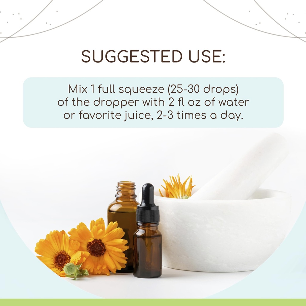 herbera-rehmannia-b60-alcohol-free-herba-2.jpg
