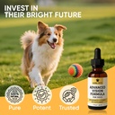 aura-pets-advanced-vision-formula-for-do-6.jpg