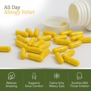 histamine-shield-plus-natural-antihistam-4.jpg