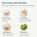 focl-instant-kava-drink-mix-refreshing-n-4.jpg