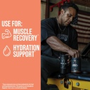 rule-1-proteins-essential-amino-9-recove-6.jpg