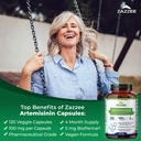zazzee-serrapeptase-and-artemisinin-caps-4.jpg