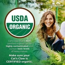 zazzee-organic-seasonal-wellness-bundle--6.jpg