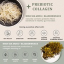 gold-sea-moss-superfood-bundle-organic-s-3.jpg
