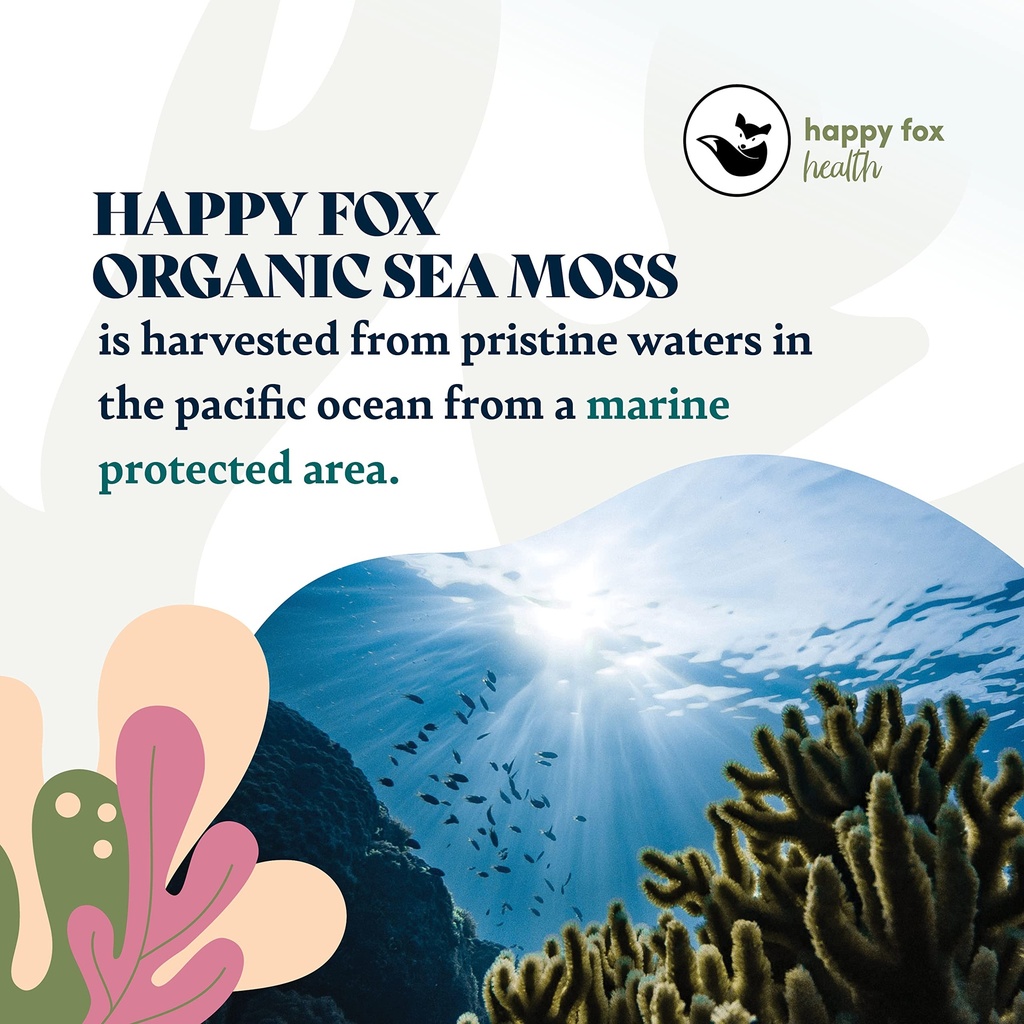 gold-sea-moss-superfood-bundle-organic-s-4.jpg